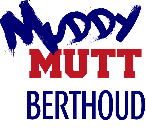 Berthoud logo